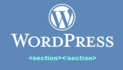 【WordPress】記事ページにSectionタグを自動で追加する方法【WP】